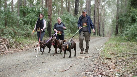 Dirty Dog Tail Run Coopernook